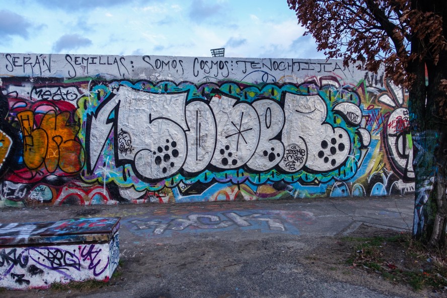graffiti - sober - mauerpark . berlin . januar 2015