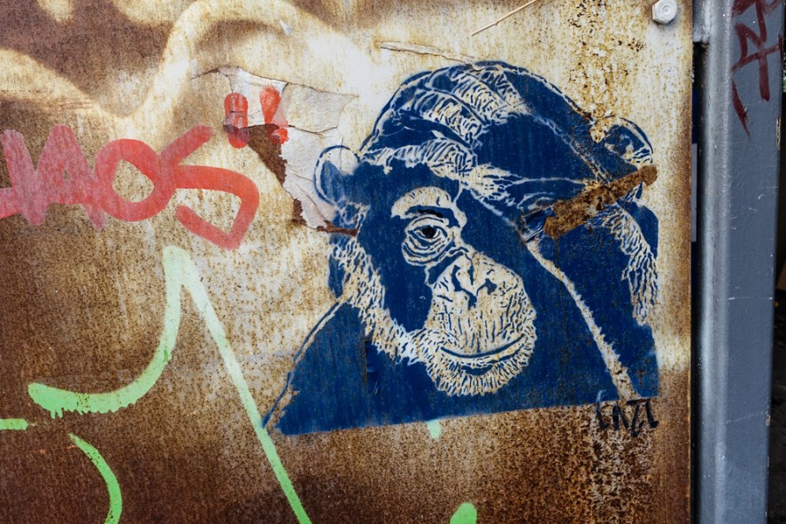 stencil - cazl - kastanien allee . berlin