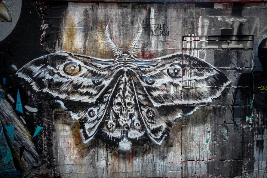 streetart - ale senso - haus schwarzen berg, berlin mitte