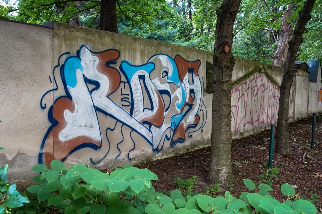 graffiti - rosa - berlin, mitte