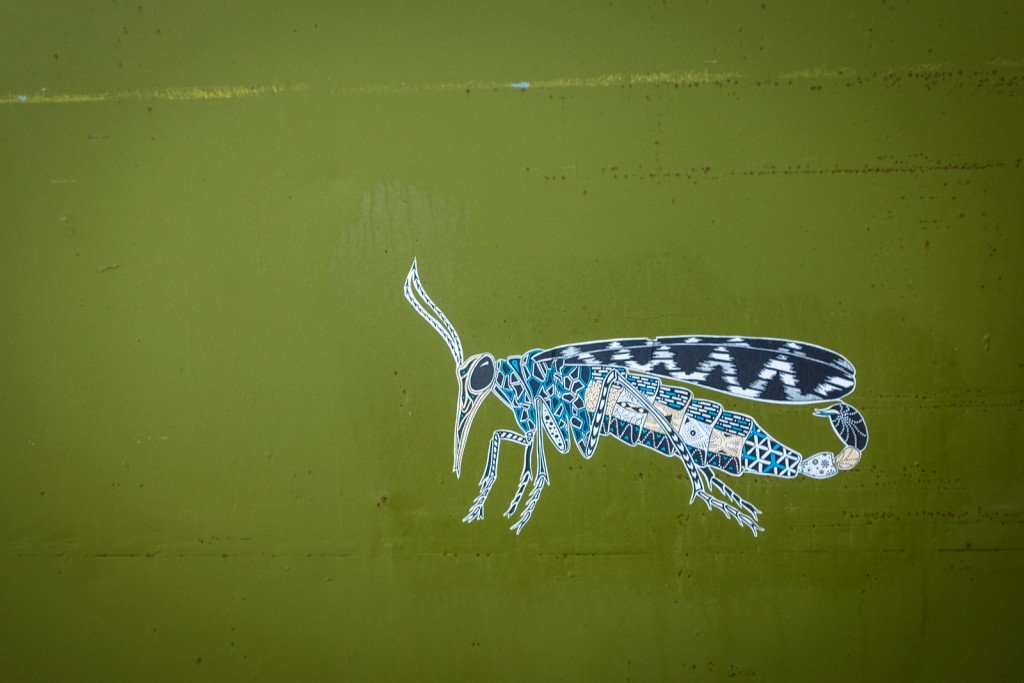 paste up - pol cosmo - belgium, ghent