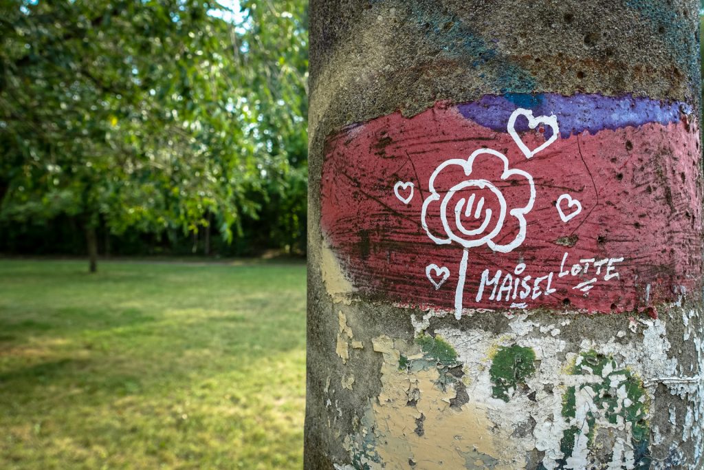 streetart - el kapitano del karacho "maisel lotte" - berlin, pankow