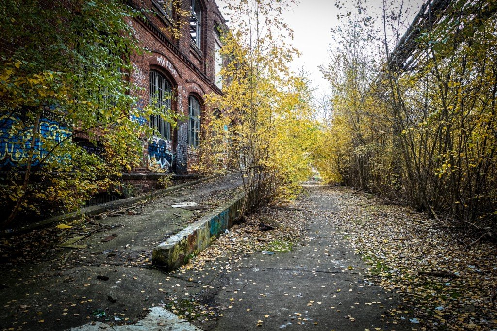 urbex - graffiti - veb, berlin schöneweide