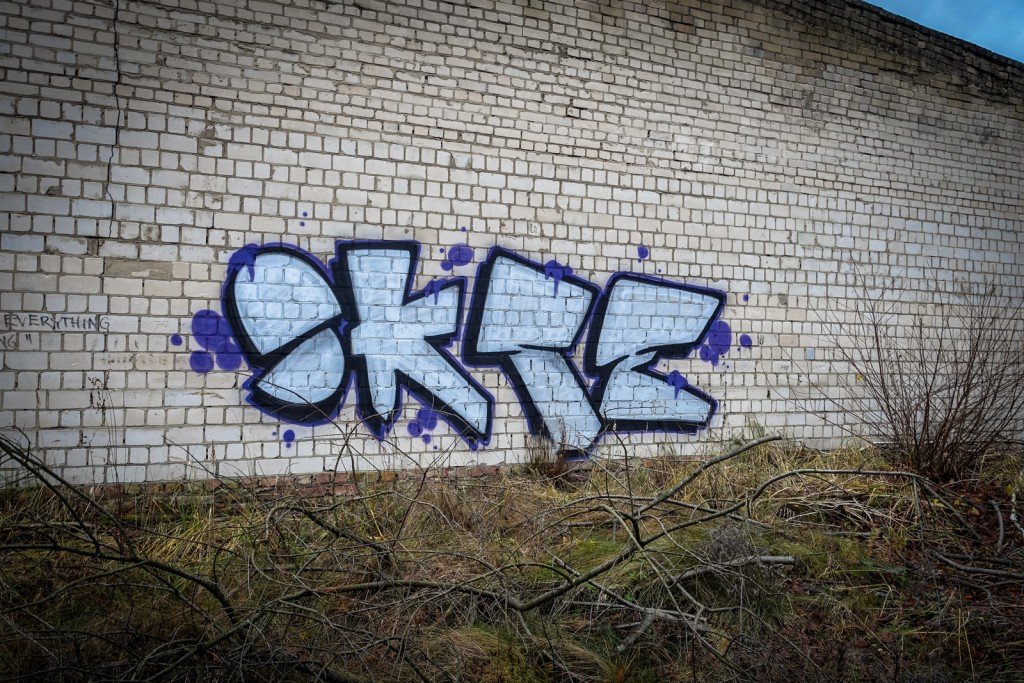 graffiti - okse - beelitz sanatorium, dec 2015