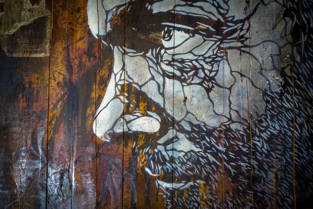 streetart - c215 - jardin rouge, marrakesh