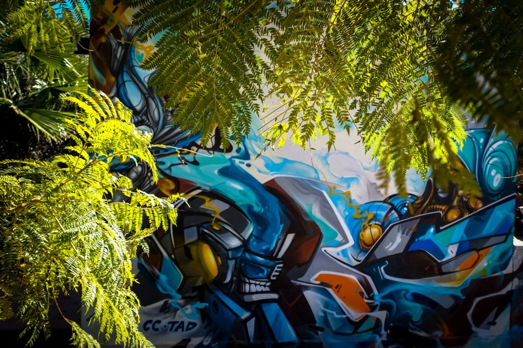 graffiti - zmogk & neok (cc) - jardin rouge, marrakesh