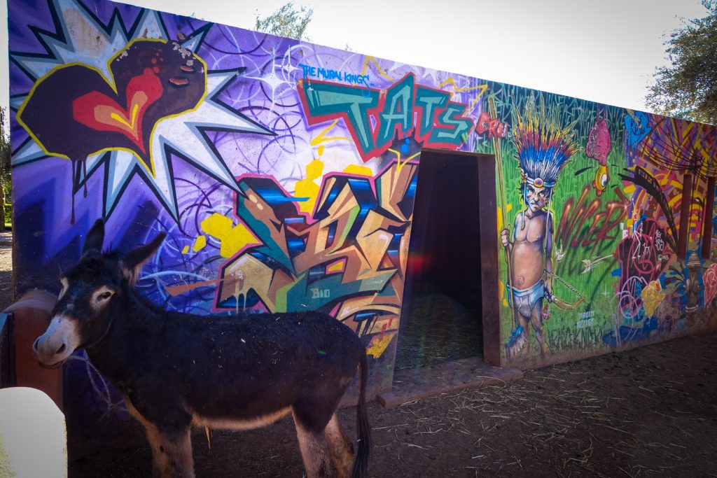 graffiti - tats cru - jardin rouge, marrakesh