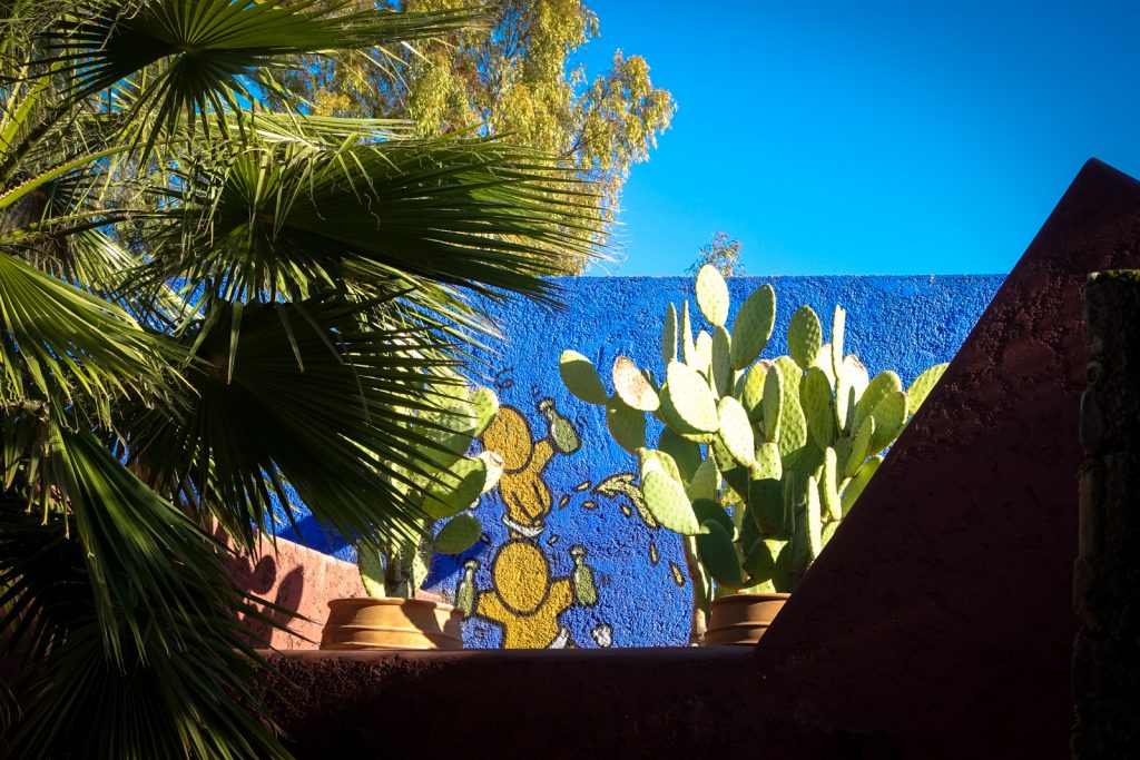 streetart - jace - jardin rouge, marrakesh