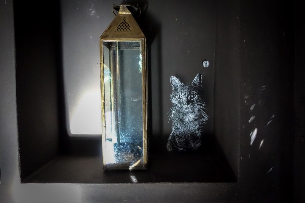 stencil - c215 - jardin rouge, marrakesh