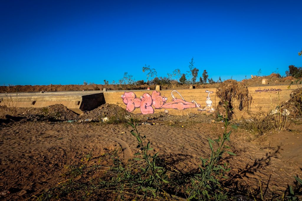 graffiti - reso - jardin rouge, marrakesh