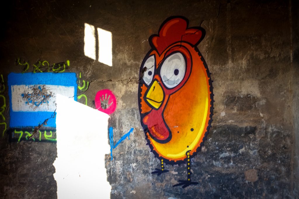 graffiti - ceet - jardin rouge, marrakesh
