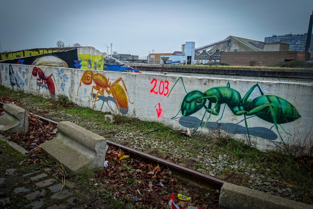 stencil - cee pil - grindbakken, gent