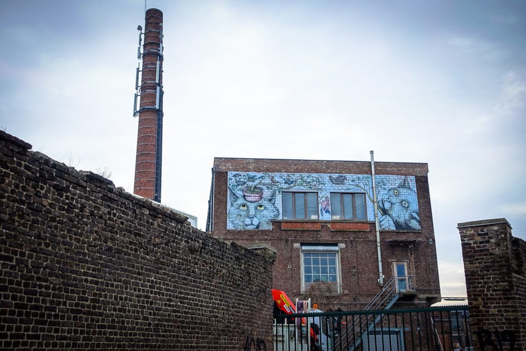mural - erica il cane - ghent, parallelweg
