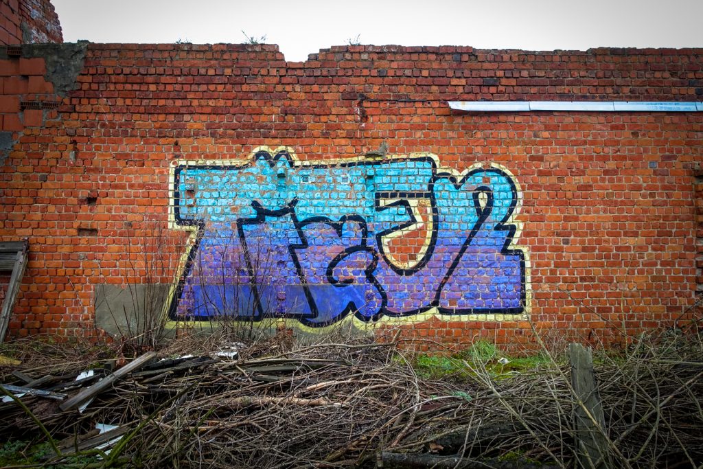 graffiti - tiger - ghent, moscou