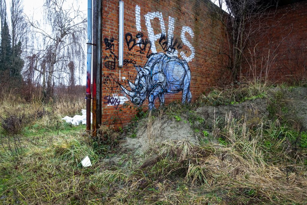 graffiti - dzia - petrol, antwerpen