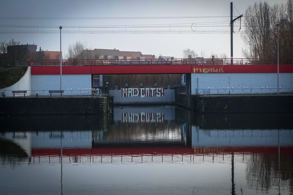 madcats - vlaamse kaai, gent