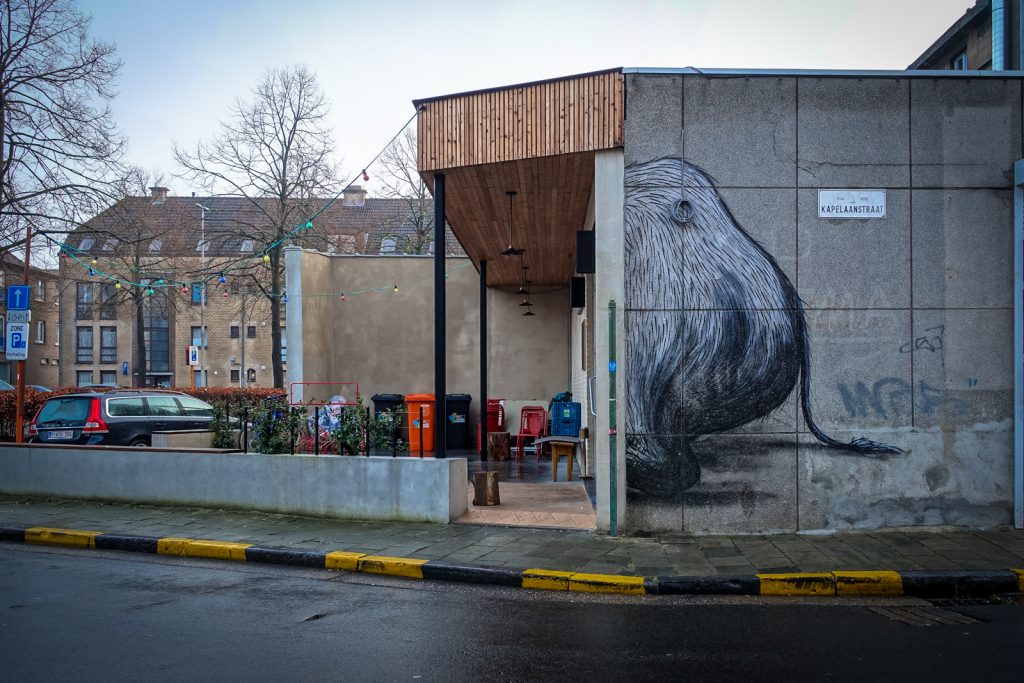 streetart - roa - gent