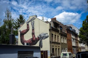 mural, cityleaks 2011 - roa - köln, ehrenfeld