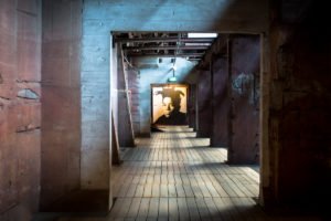 jef aerosol 'basquiat' - 4