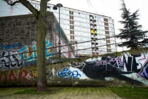 street art - roa - brussels