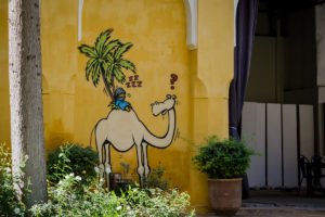 jace - tmecha fel m'dina -  marrakesh