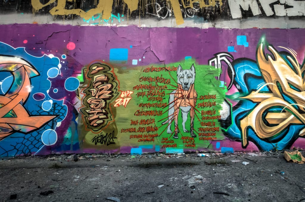 graffiti - hall of fame, blankenburg / berlin