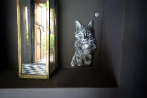 stencil - c215 - jardin rouge residenz building