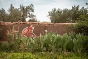 graffiti - garden @ jardin rouge, marrakesh