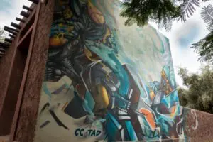 graffiti - zmogk & neok (cc) - garden @ jardin rouge, marrakesh