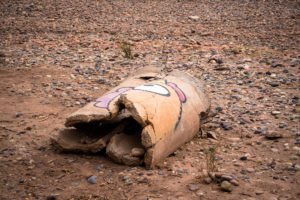 graffiti - ceet - outside the jardin rouge