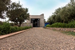 garden @ jardin rouge, marrakesh