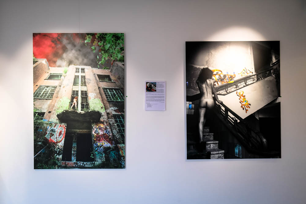 Marc de Wergifosse - Galerie Francis Noël - Liège