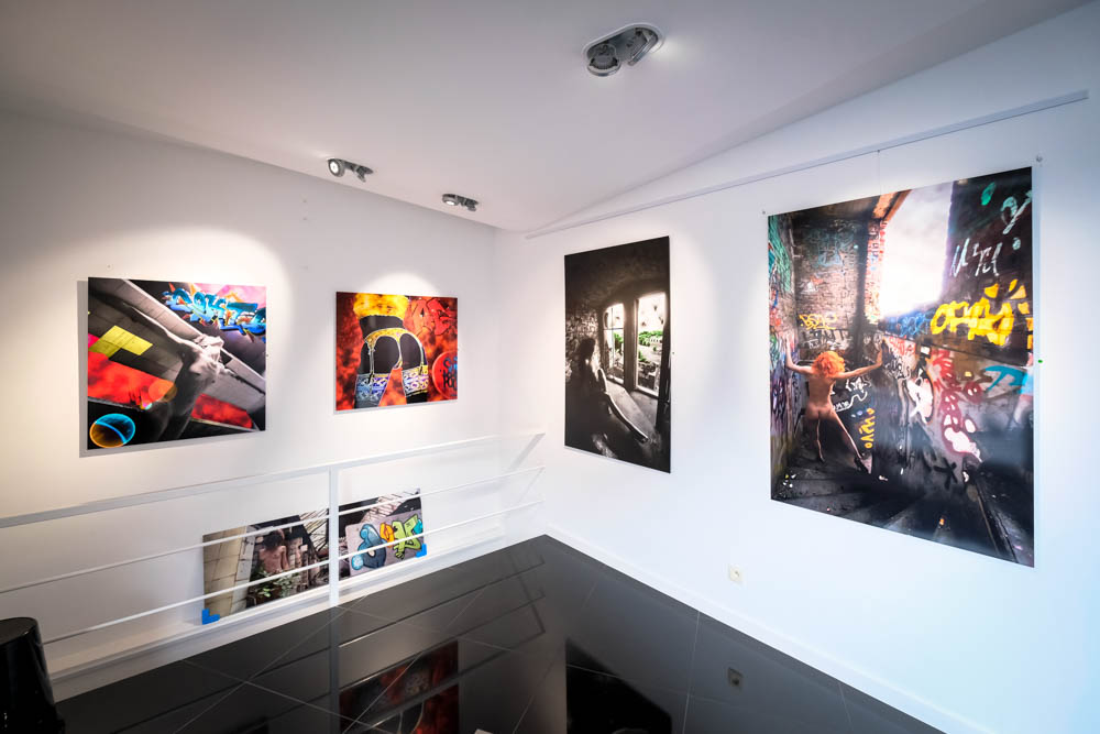 Marc de Wergifosse - Galerie Francis Noël - Liège